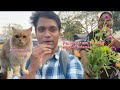 Shopping Polama🛒 🛍️ 💢💢பல்லாவரம் சந்தை |Pallavaram Friday Market Polamaa #sandhai#fridaymarket#food 
