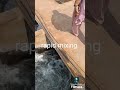Water purification plant (Rapid sand filter