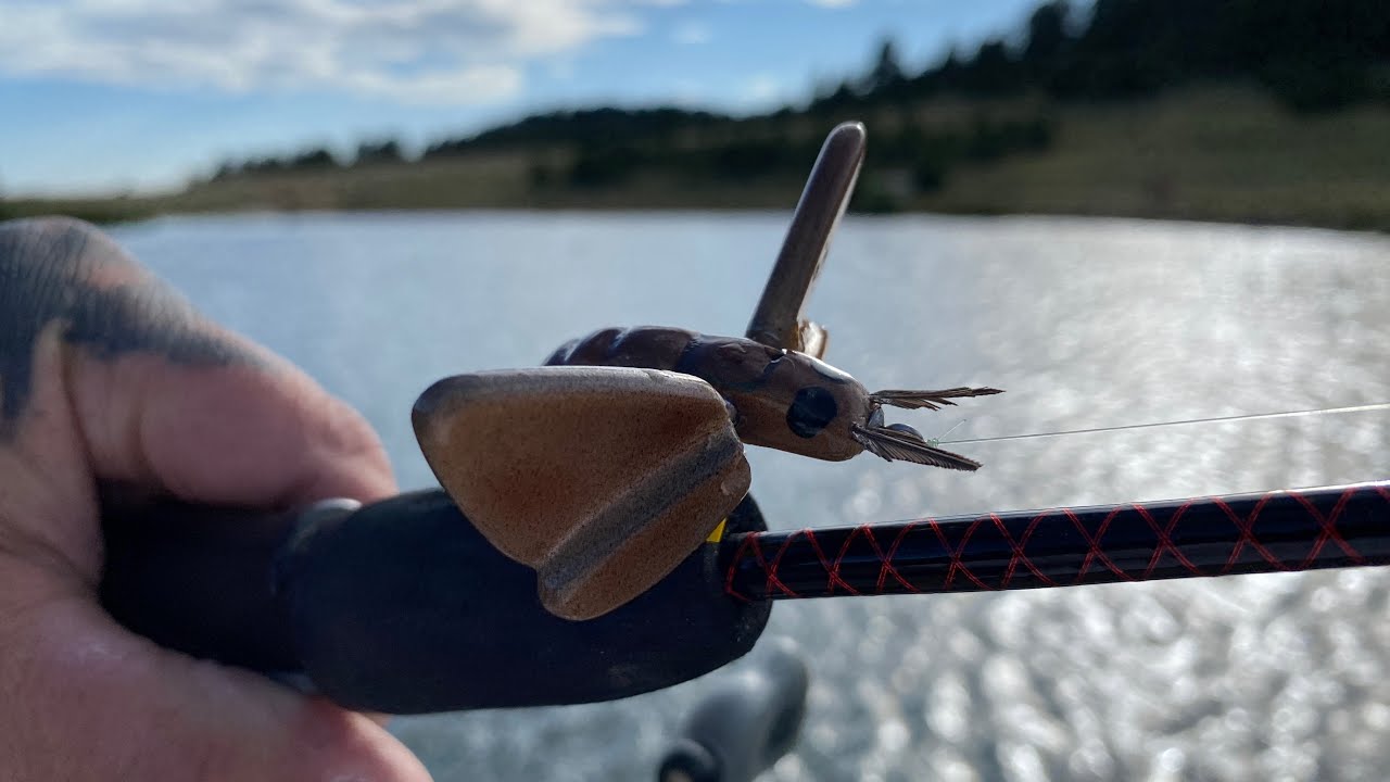 The Miller Moth Has Landed!!!!! #wackylures #fishing #lurefishing #moth ...