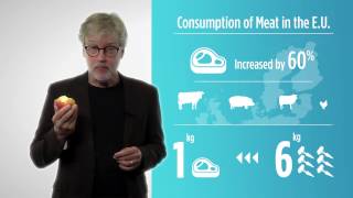 Good food, fresh thinking -- a look at our food system
