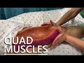 How to Massage the Quadriceps