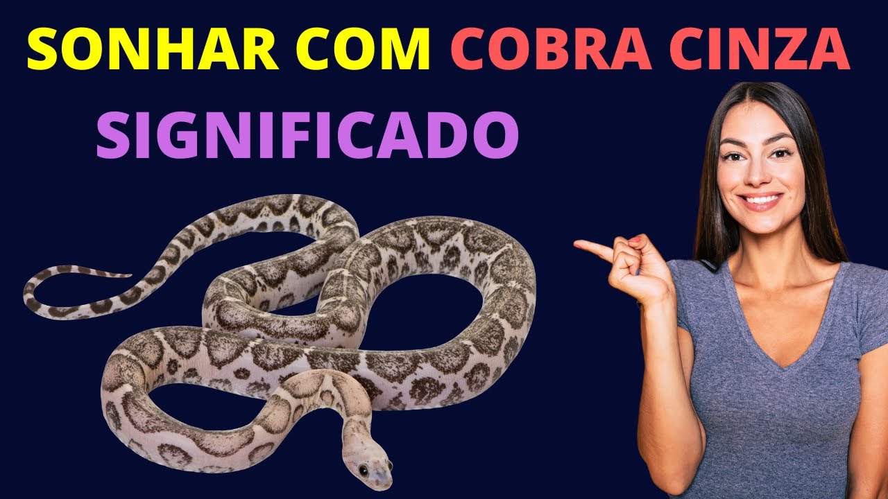 SONHAR QUE VÊ COBRA CINZA - DESCUBRA O QUE SIGNIFICA - YouTube