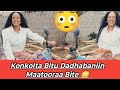 Tuu Gammachuun Marachuun Amma Maatoora Bite Konkoltaa