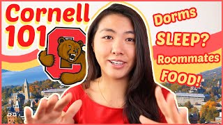 🐻EVERYTHING to know about Cornell University (for Prospective Students + Freshmen!) | Katie Tracy