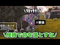 【神回】"HPに気付いてない野良"をどうにか回復させたい【可愛い野良】【APEX】