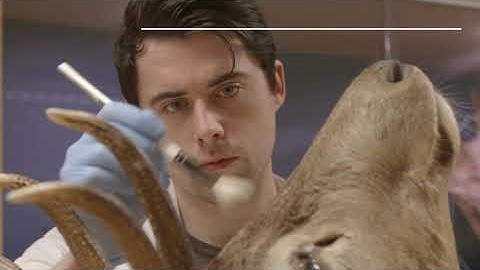 The Trinity Education