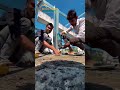 jaldi kariye ab bhi samay hai bijli ka bill bachaye aur jaldi se solar lagwaye ⚡🌞