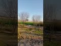 Our village beauty #music #song #lovesong