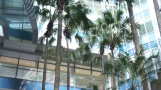 雲科大建築設計大陸專班“玩·設計”微電影——Shopping For Fun