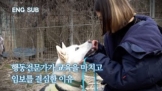 A farm dog's surprising reaction to being walked on a leash for the first time. What is the... by 개st하우스 - 사연 있는 유기동물 채널 13,192 views 1 month ago 5 minutes, 51 seconds