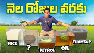 Preserving Watermelon For 30 days - What Will Happen ? 🔥🔥 Telugu Experiments