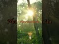 Mera Bharosa Tu 🔥🔥🔥🔥#viralreel #music #newsong #love #Christian #jesus #yesu #God #bibel #bibleverse