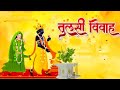 Tulsi Vivah # तुलसी विवाह #tulsi mate ki jai🌹# जय तुलसी माते 🙏🏻🌹#shubh tulsi vivah🙏🏻🙏🏻