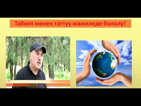 Video: Түштүк Африкадагы мыкты жеке оюн коруктары