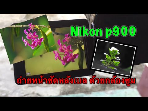 วีดีโอ: Nikon p900 เหมาะสำหรับการถ่ายภาพบุคคลหรือไม่?