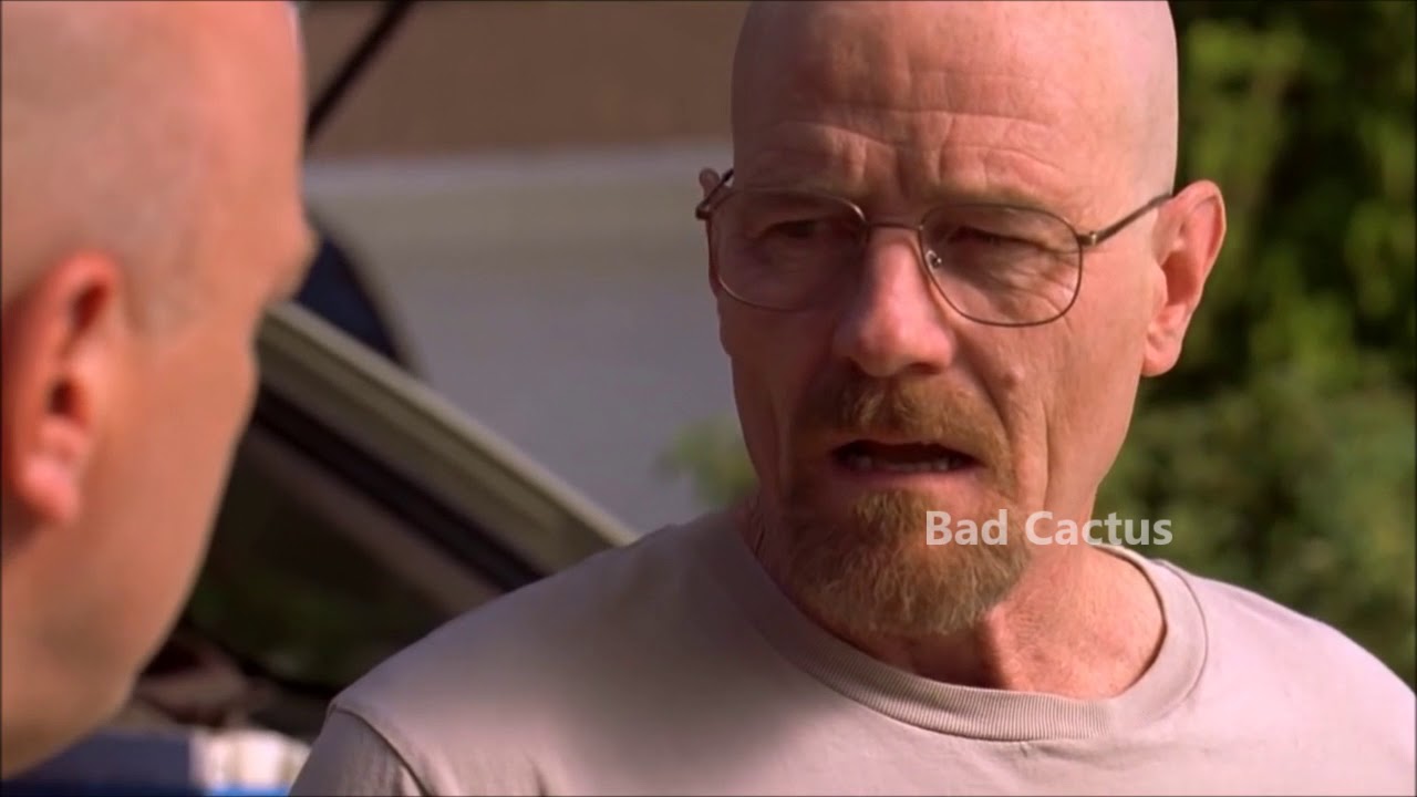 Walter Will Stuff Half A Million In Cash In The Crust YouTube walter-will-stuff-half-a-million-in-cash-in-the-crust-youtube