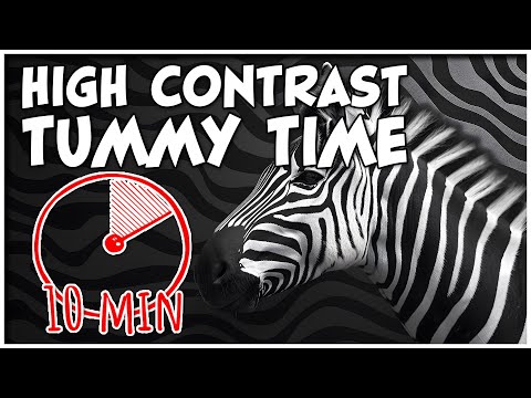 High Contrast Video for Tummy Time| 10 - Minute Tummy Timer for Infant Stimulation & Development
