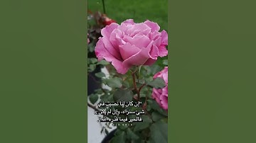 نبّئ عبادي أني أنا الغفور الرحيم -تلاوة من سورة الحجر - آيات مليئات بالطمأنينة -القارئ ماهر المعيقلي