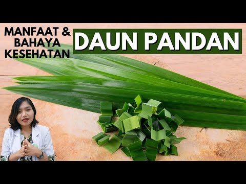 Daun Pandan Benefits