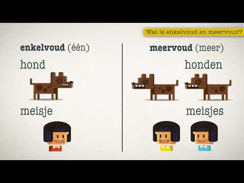 Video: Is gladiolen enkelvoud of meervoud?