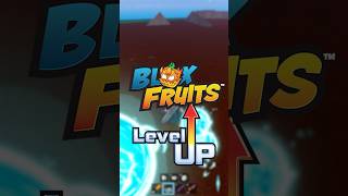 Qual Fruta Escolher? Top 5 Ranking #bloxfruits #roblox