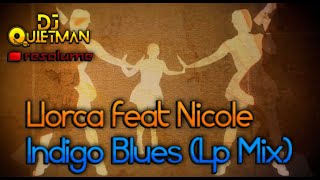 Llorca Feat  Nicole Graham   Indigo Blues Lp Mix #resolume