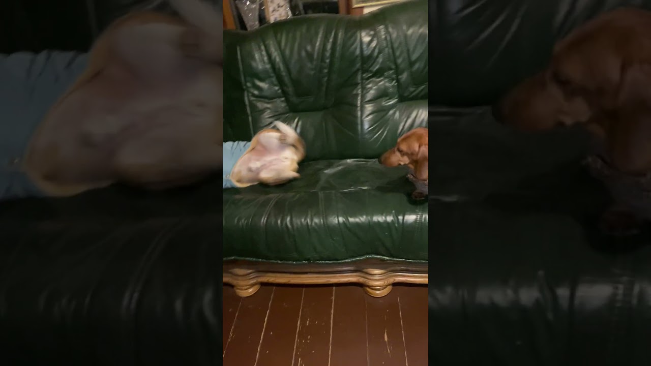 Из-за морозов перебираемся ко мне в комнату 