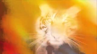 BP-TIGER EYES JERK MIX (NEW JERKIN MUSIC)