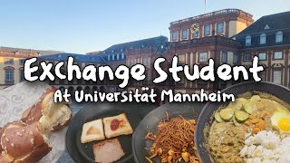 A Day in the Life of an Exchange Student at Mannheim University