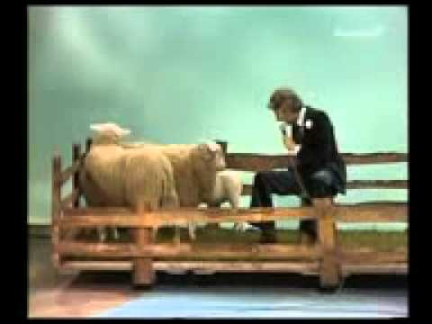 Wann Wird's Mal Wieder Richtig Sommer?