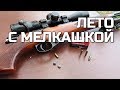 Лето с мелкашкой: новая мишень и тест на пробиваемость