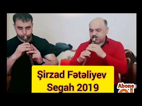 Shirzad Feteliyev Segah 2020