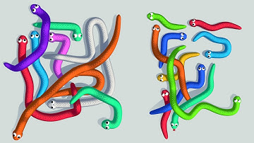 Tangled Snakes - 1 - 30 Levels Gameplay