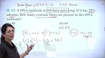 CBSE Board Paper/Term 1/Q43. A DNA molecule is 160 base pairs long. If it has 20% adenine
