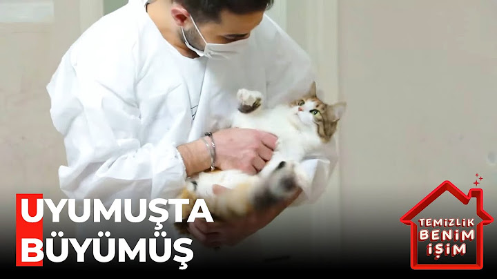 Kadir'in Minnoş Kedi Sevgisi - Temizlik Benim İşim 300. Bölüm