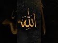 Allah swt❤️‍🩹❤️‍🩹❤️‍🩹❤️‍🩹❤️‍🩹❤️‍🩹💞💞💞💞💞🤲🏻🤲🏻🤲🏻🤲🏻🤲🏻🤲🏻🤲🏻🤲🏻🤲🏻🤲🏻