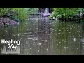 Relaxing Rain Sounds And Flowing Water Sound Best White Noise ASMR For Meditation Yoga Healing