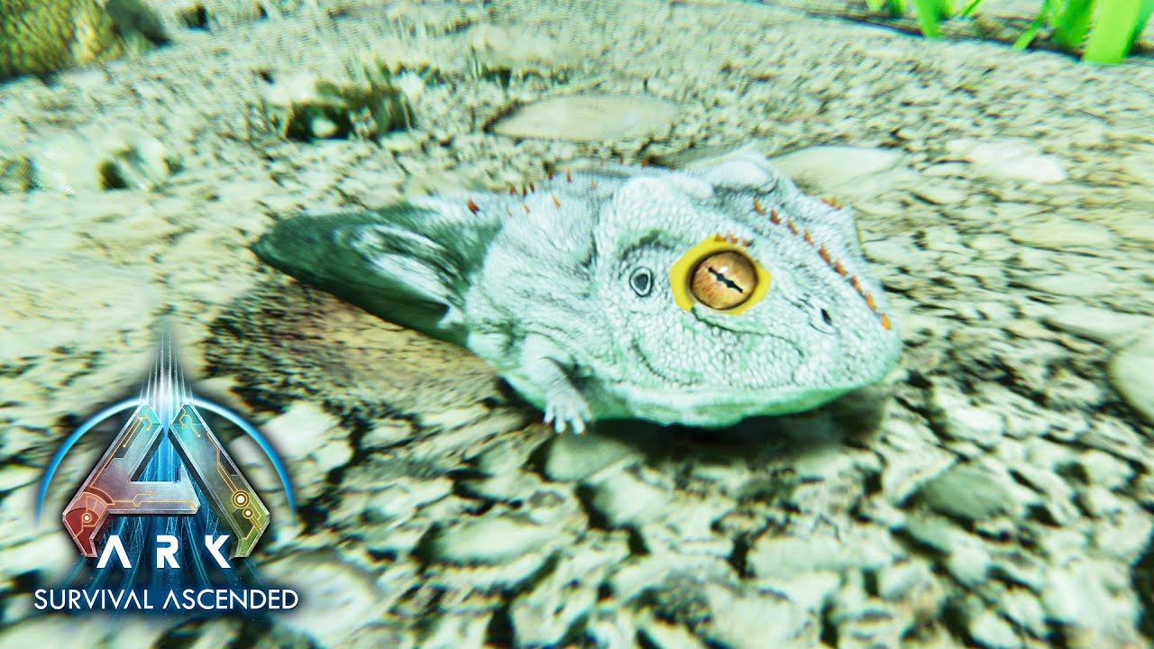 FINALLY BREEDING THE BEELZZEBUFO - THE ISLAND ARK SURVIVAL ASCENDED EP ...