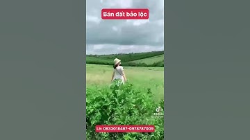 Cần bán đất bảo lộc.cần bán đất bảo lộc, lâm đồng. Cần bán đất lộc ngãi, bảo lâm, lâm đồng.View hồ