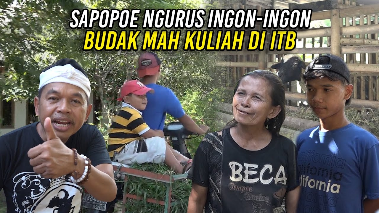 DI KEBUMEN KANG DEDI SAPA ANAK MUDA PETERNAK DOMBA | IBU JANDA ANAKNYA BEASISWA DI ITB