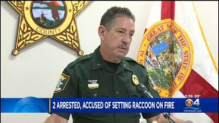 Florida Man And Daughter Accused Of Setting Raccoon On Fire In A Dumpster