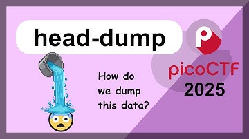 picoCTF 2025 - Web Hacking - head-dump - API Documentation