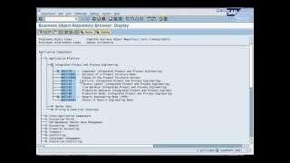 Famous SAP Business Objects Profile