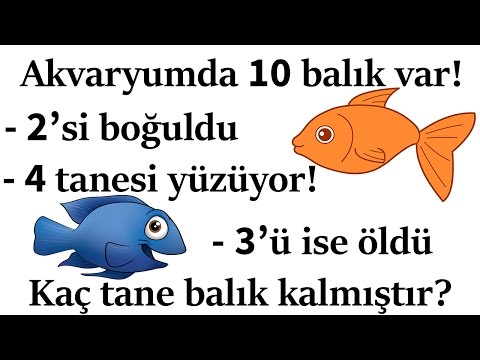 ŞAŞIRTMALI BEYİN YAKAN 10 ZEKA SORUSU