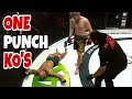 The most brutal mma one punch knockouts you surely dont like to miss