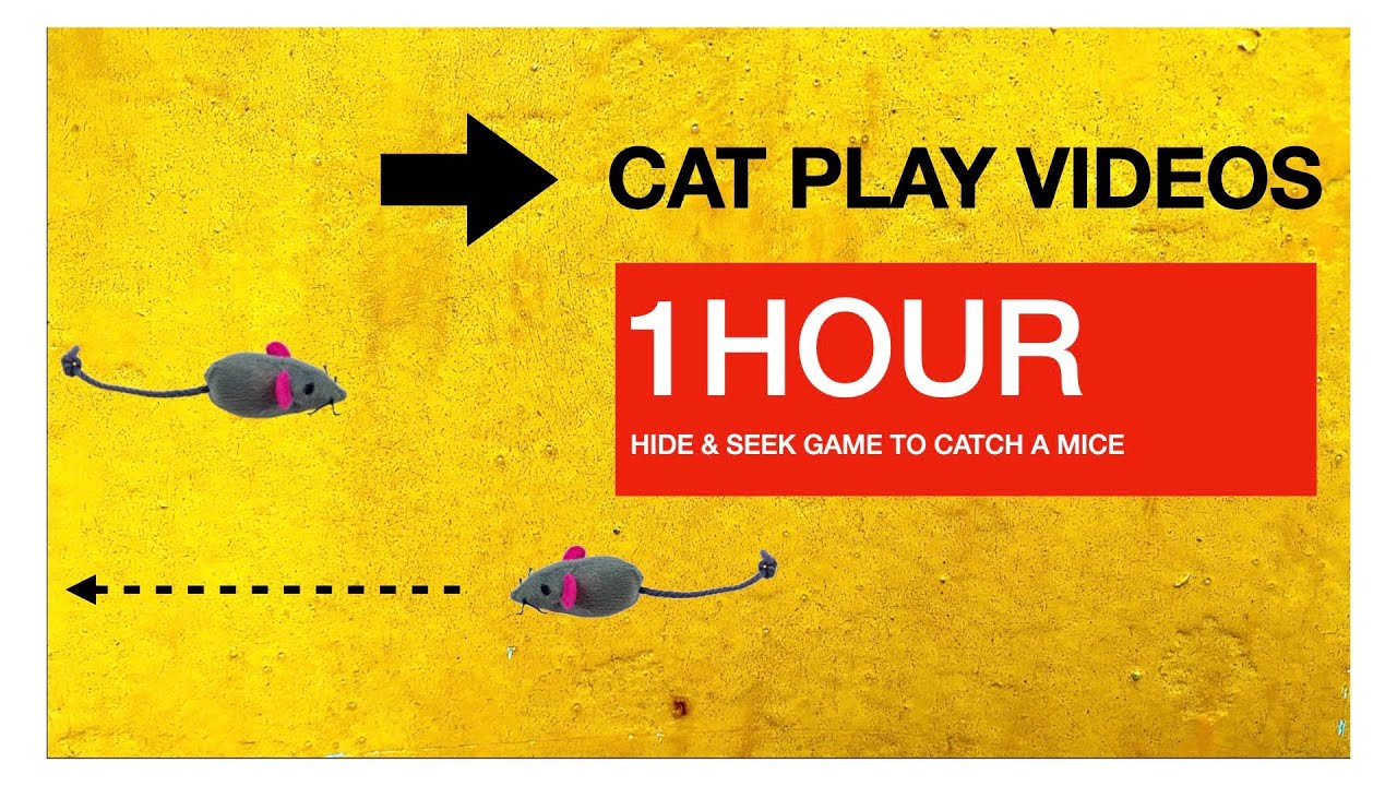 CAT PLAY VIDEO CATCHING MICE 1 HOUR VERSION (VIDEOS FOR CATS TO WATCH