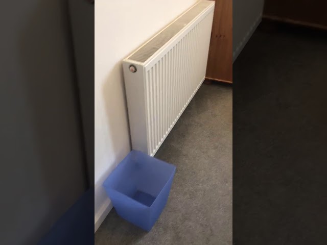 Video 1: Room 2