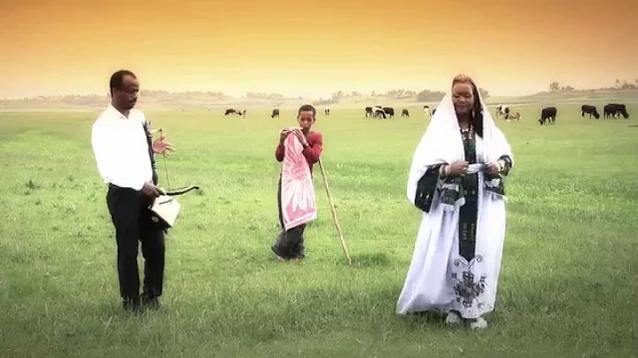 Freweini Tsegay (Lulya) Tigrinya Mezmur " Libey Te...