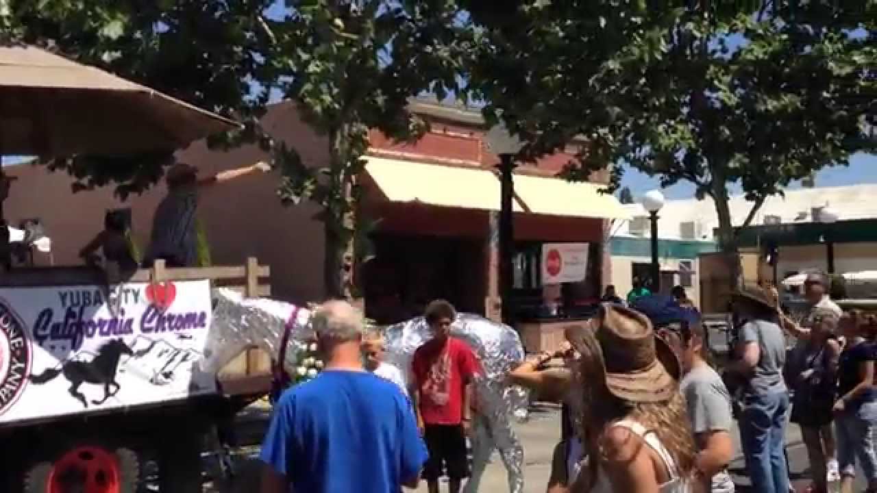 Yuba City's Triple Crown Viewing Party Celebrating California Chrome