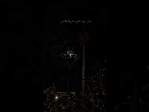 اول ماعيونك دي بشوفها حالات واتساب